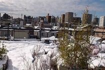 Tokyo Guest House 2020 外观 照片