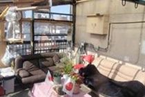 Tokyo Guest House 2020 外观 照片